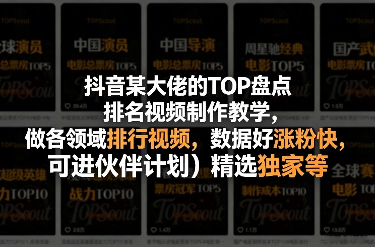 抖音某大佬的TOP盘点排名视频制作，做各领域排行视频，数据好涨粉快，可进伙伴计划＋精选独家等-赛德副业库