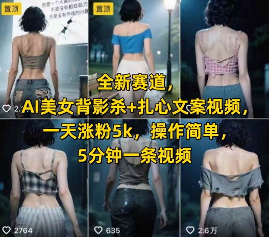 全新赛道，AI美女背影杀+扎心文案视频，一天涨粉5k，操作简单，5分钟一条视频-赛德副业库