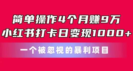 简单操作4个月赚9w，小红书打卡日变现1k，一个被忽视的暴力项目【揭秘】-赛德副业库