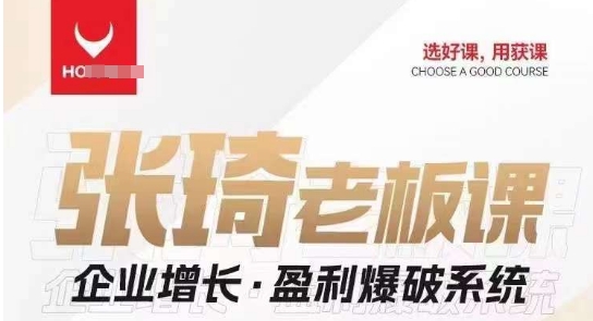 【组合课】张琦张琦老板企业增长·盈利爆破系统（直播专享）-赛德副业库