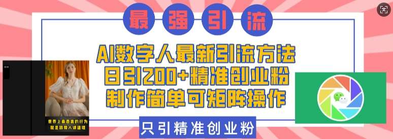 AI数字人最新引流方法，日引200+精准创业粉，制作简单可矩阵操作-赛德副业库