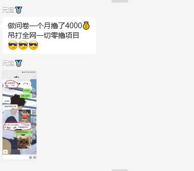 图片[2]-问卷调查兼职项目，随时可做 超低门槛 单号日撸20+-赛德副业库