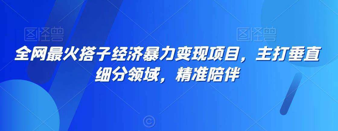 全网最火搭子经济暴力变现项目,主打垂直细分领域,精准陪伴【揭秘】-赛德副业库