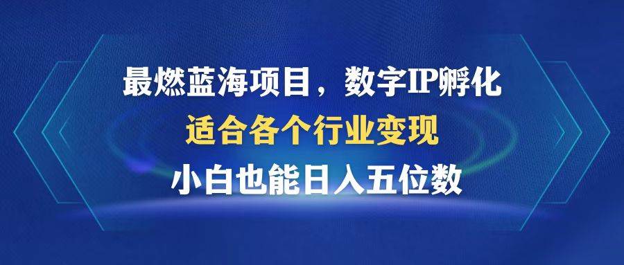 （12941期）最燃蓝海项目  数字IP孵化  适合各个行业变现  小白也能日入5位数-赛德副业库