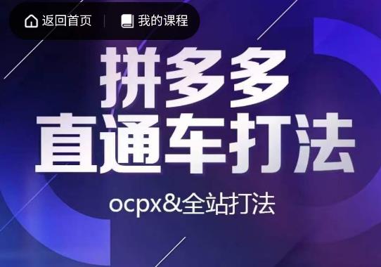 互力·拼多多直通车打法，ocpx&全站打法-赛德副业库