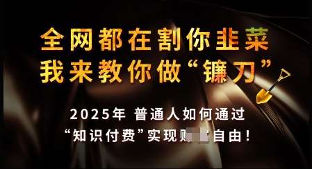 知识付费如何做到月入过W+，2025我来教你做“镰刀”【揭秘】-赛德副业库