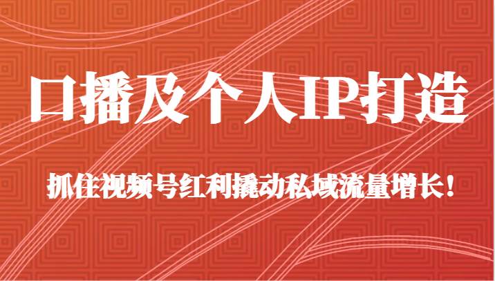 口播及个人IP打造，抓住视频号红利撬动私域流量增长！（45节课）-赛德副业库