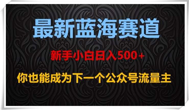 最新蓝海赛道，新手小白日入500+，你也能成为下一个公众号流量主【揭秘】-赛德副业库