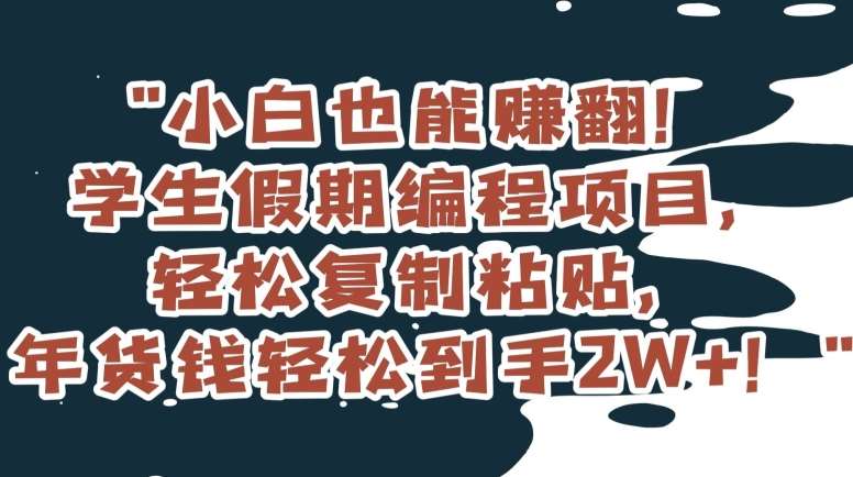 小白也能赚翻！学生假期编程项目，轻松复制粘贴，年货钱轻松到手2W+【揭秘】-赛德副业库