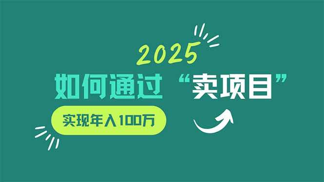 (14176期)2025年如何通过“卖项目”实现年入100万-赛德副业库