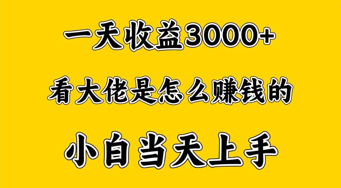 一天赚3000多，大佬是这样赚到钱的，小白当天上手，穷人翻身项目-赛德副业库