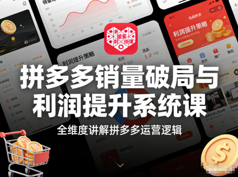 拼多多销量破局与利润提升系统课,全维度讲解拼多多运营逻辑-赛德副业库