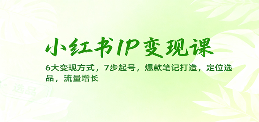 小红书IP变现课：6大变现方式，7步起号，爆款笔记打造，定位选品，流量增长-赛德副业库