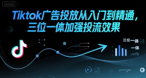 Tiktok广告投放从入门到精通，三位一体加强投流效果-赛德副业库