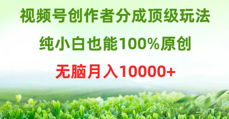 （9608期）视频号创作者分成顶级玩法，纯小白也能100%原创，无脑月入10000+-赛德副业库