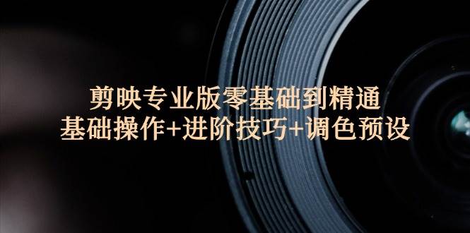 （12310期）剪映专业版零基础到精通：基础操作+进阶技巧+调色预设”-赛德副业库