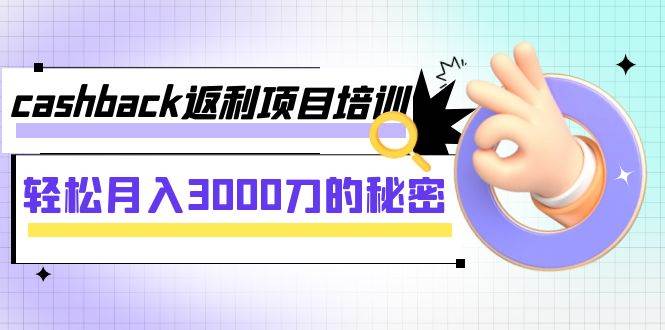 cashback返利项目培训：轻松月入3000刀的秘密（8节课）-赛德副业库