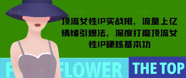 顶流女性IP实战班，流量上亿情绪引爆法，深度打磨顶流女性IP硬核基本功-赛德副业库