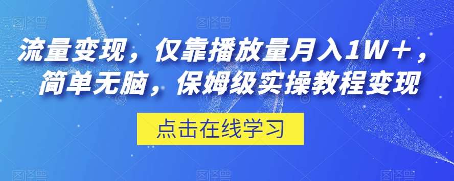 流量变现，仅靠播放量月入1W＋，简单无脑，保姆级实操教程【揭秘】-赛德副业库