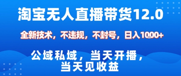 淘宝无人直播12.0，公域私域技术，不封号，不违规布局双十一流量风口，日入1k（独家技术）【揭秘】-赛德副业库