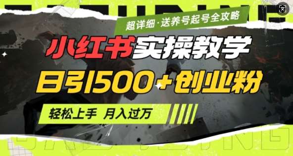 2月小红书最新日引500+创业粉实操教学【超详细】小白轻松上手，月入1W+，附小红书养号起号SOP-赛德副业库