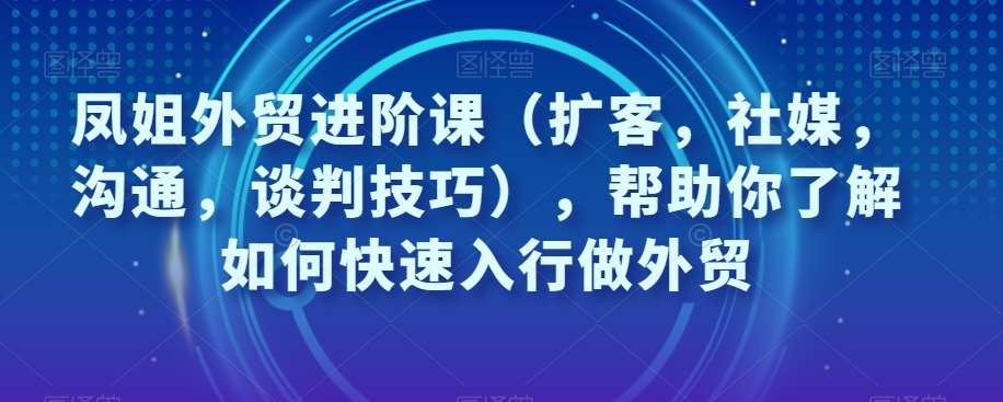 凤姐外贸进阶课（扩客，社媒，沟通，谈判技巧），帮助你了解如何快速入行做外贸-赛德副业库
