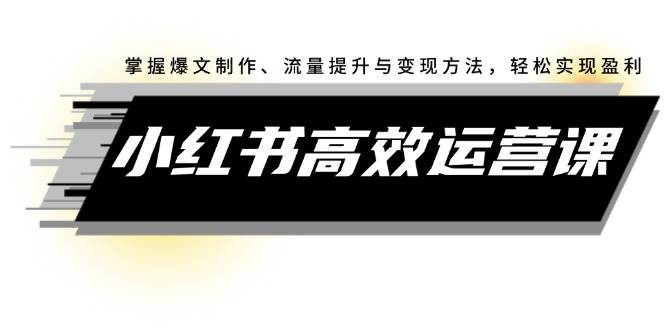 （12369期）小红书高效运营课：掌握爆文制作、流量提升与变现方法，轻松实现盈利-赛德副业库