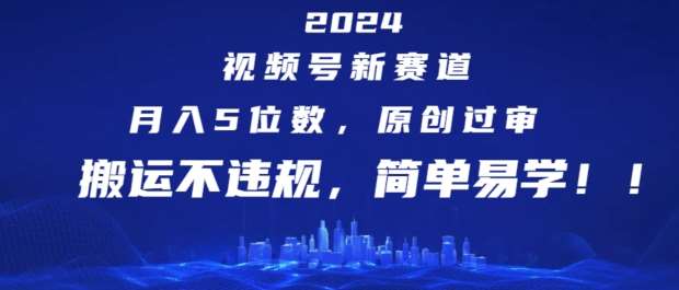 2024视频号新赛道，月入5位数+，原创过审，搬运不违规，简单易学【揭秘】-赛德副业库