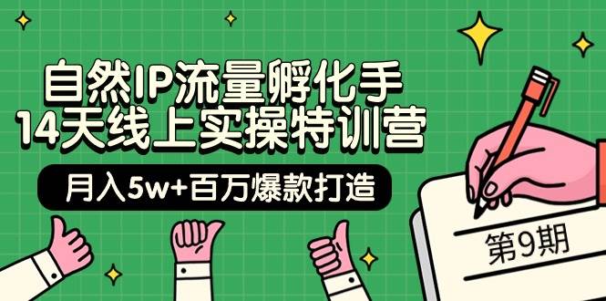 （9881期）自然IP流量孵化手 14天线上实操特训营【第9期】月入5w+百万爆款打造 (74节)-赛德副业库
