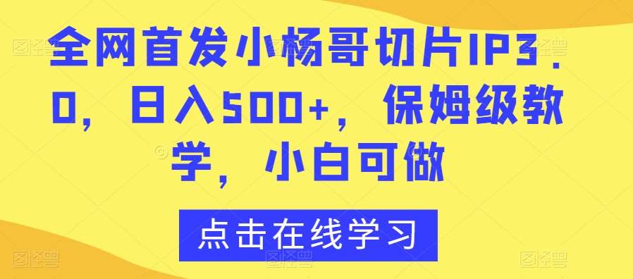 全网首发小杨哥切片IP3.0，日入500+，保姆级教学，小白可做【揭秘】-赛德副业库