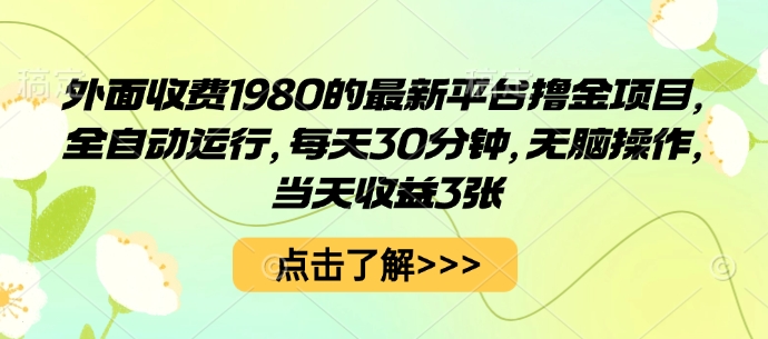 外面收费1980的最新平台撸金项目，全自动运行，每天30分钟，无脑操作，当天收益3张【揭秘】-赛德副业库