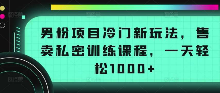 男粉项目冷门新玩法，售卖私密训练课程，一天轻松1000+【揭秘】-赛德副业库