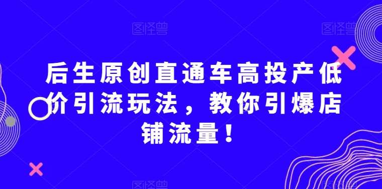 后生原创直通车高投产低价引流玩法，教你引爆店铺流量！-赛德副业库