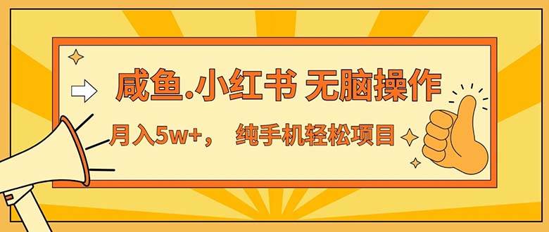 （11524期）2024最赚钱的项目，咸鱼，小红书无脑操作，每单利润500+，轻松月入5万+…-赛德副业库