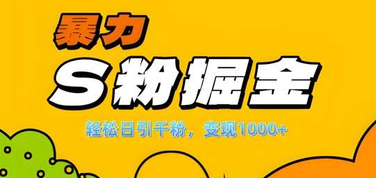 单人单机日引千粉,变现1k+,S粉流量掘金计划攻略【揭秘】-赛德副业库