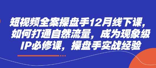 短视频全案操盘手12月线下课,如何打通自然流量,成为现象级IP必修课,操盘手实战经验-赛德副业库