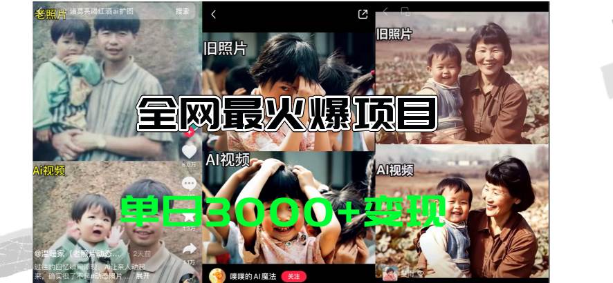 （11546期）全网爆火的AI让老照片动起来教程，蹭热点日赚3000+，内含免费工具一键…-赛德副业库