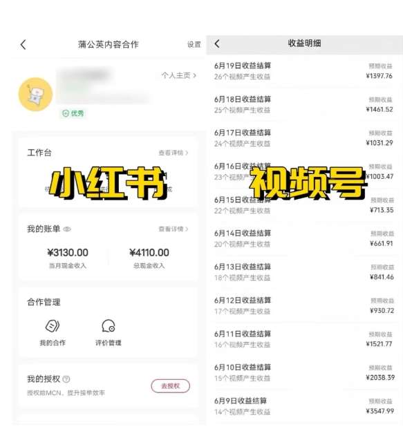 图片[2]-全网爆火的AI让老照片动起来教程，蹭热点日赚3k+，内含免费工具一键可生成【揭秘】-赛德副业库
