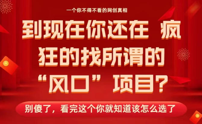 马上26年了，你还在找所谓的风口项目？别傻了，看完这个你全都懂了！【揭秘】-赛德副业库