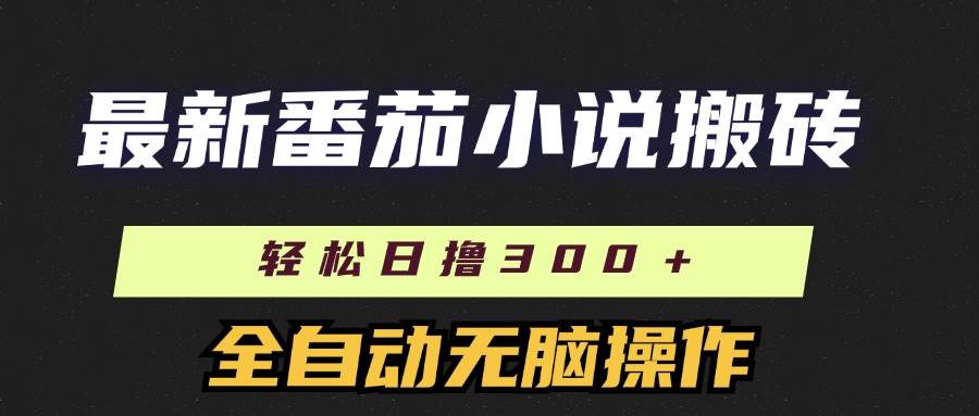 （11904期）最新番茄小说搬砖，日撸300＋！全自动操作，可矩阵放大-赛德副业库