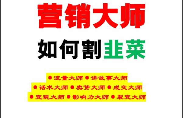 《营销大师如何割韭菜》禁止外传的大师绝学电子书-赛德副业库