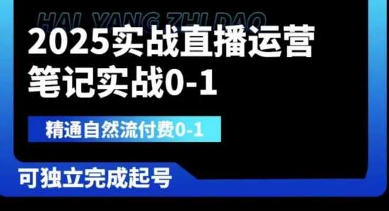 2025实战直播运营0-1，精通自然流付费0-1，可独立完成起号-赛德副业库