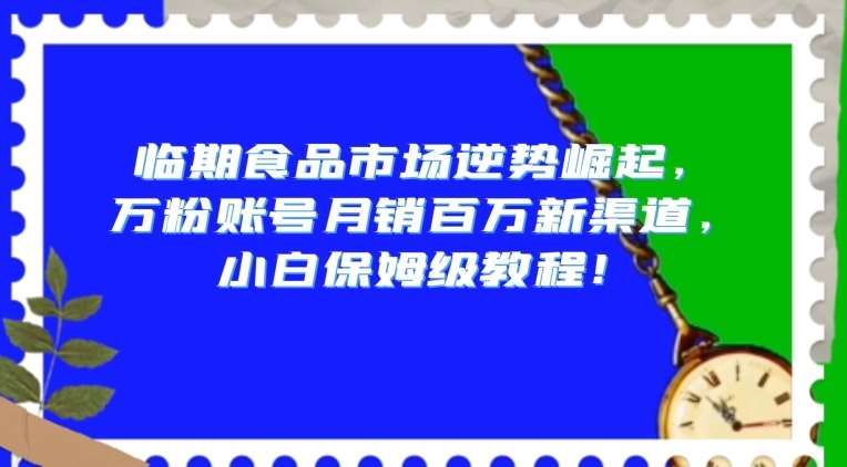 临期食品市场逆势崛起，万粉账号月销百万新渠道，小白保姆级教程【揭秘】-赛德副业库