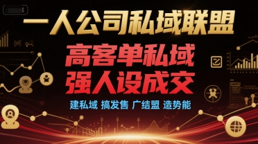一人公司私域联盟,高客单私域,强人设成交,建私域 搞发售 广结盟 造势能-赛德副业库