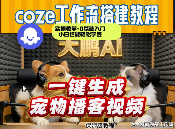 Coze工作流AI一键生成宠物播客视频，全程保姆级教程，零基础小白保姆级教学-赛德副业库