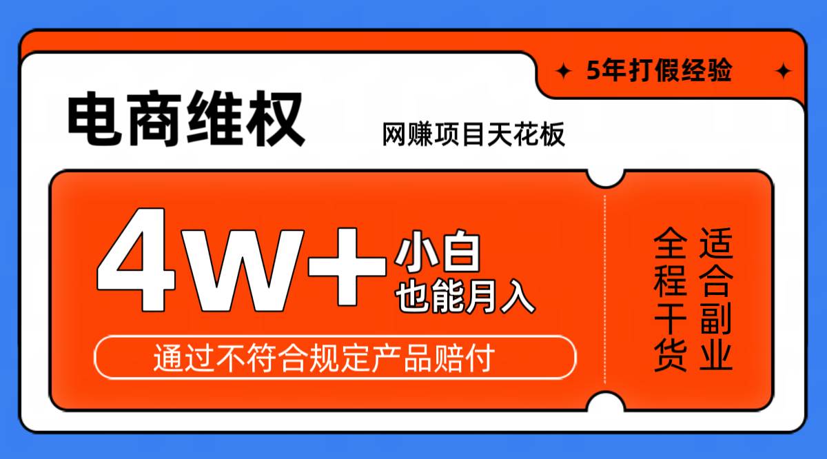 网赚项目天花板电商购物维权月收入稳定4w+独家玩法小白也能上手-赛德副业库