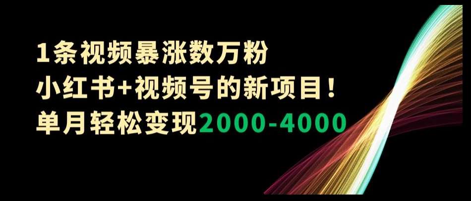 1条视频暴涨数万粉–小红书+视频号的新项目！单月轻松变现2000-4000【揭秘】-赛德副业库