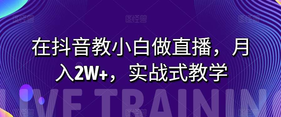 在抖音教小白做直播，月入2W+，实战式教学【揭秘】-赛德副业库