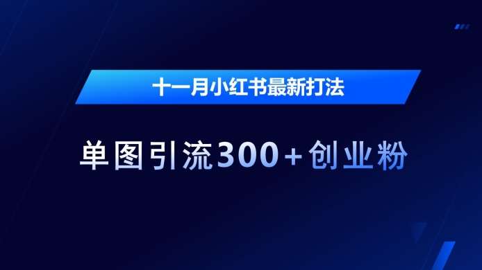十一月小红书最新打法,单图引流300+创业粉【揭秘】-赛德副业库