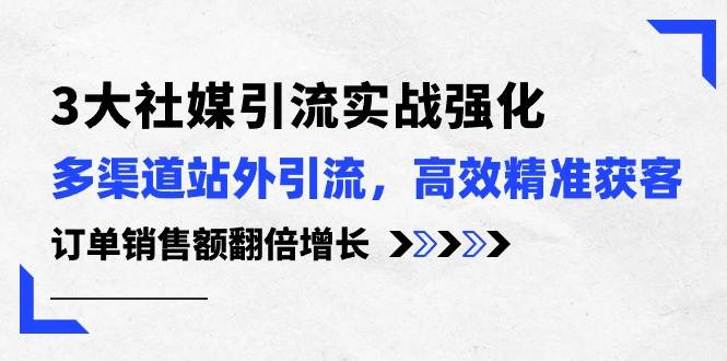 （10563期）3大社媒引流实操强化，多渠道站外引流/高效精准获客/订单销售额翻倍增长-赛德副业库